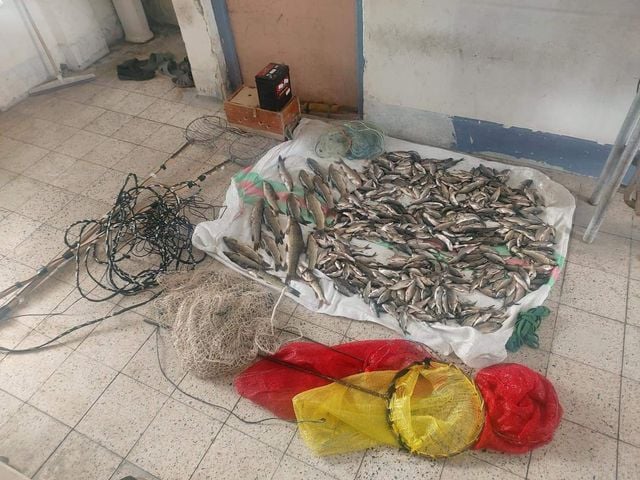 لە سنوورى تانجەڕۆ چوار ڕاوچى دەستگیرکران
