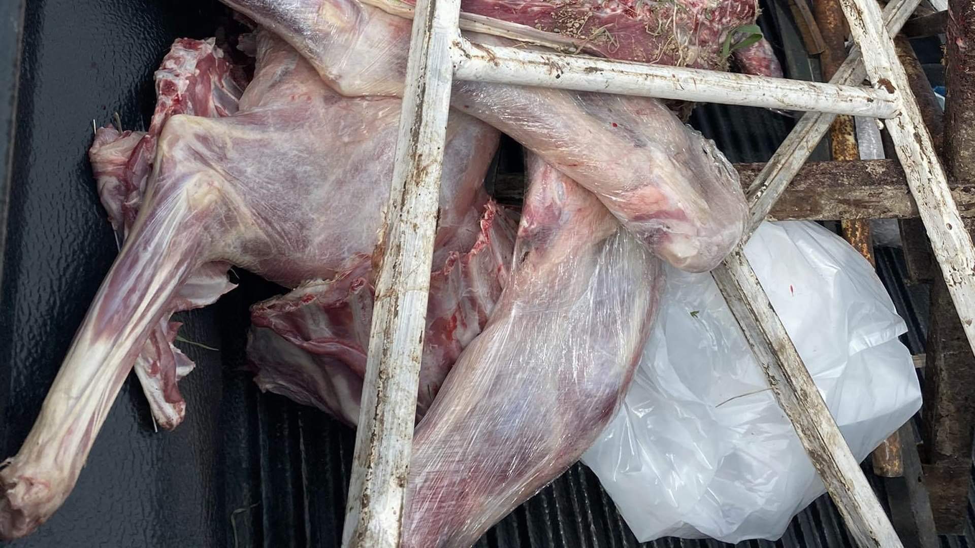 سلێمانی … ده‌ست به‌سه‌ر بڕێك گۆشتی نەشیاودا ده‌گیرێت