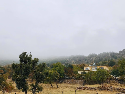 کەشناسی: باران دەبارێت
