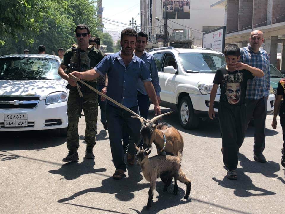 سلێمانی.. کڕین و فرۆشتن بە گیانداری کێوی قەدەغەکرا