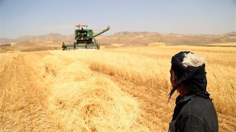 نرخی وەرگرتنی گەنمی جوتیاران دیاریکرا