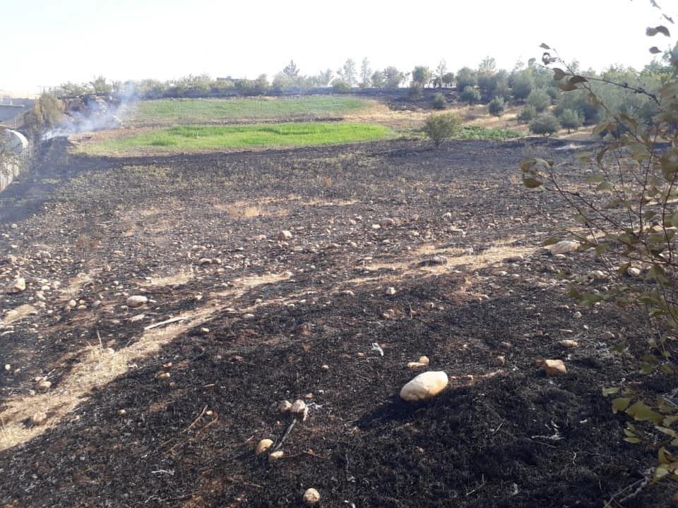 ئاگر لە باخەکەی عارف قوربانی بەردرا
