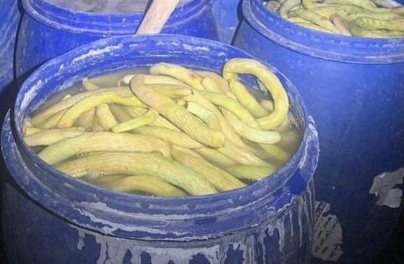 وێنە.. لە هەولێر دەست بەسەر 40 تۆن ترشیاتی گەنیودا گیرا