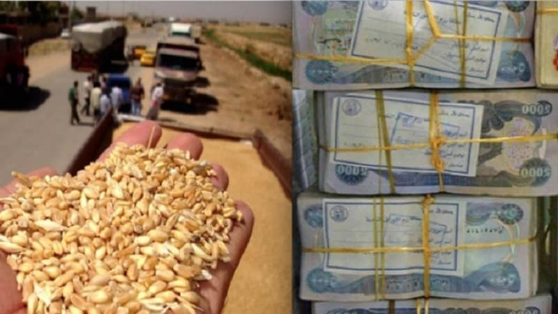 بەشێکی دیکەی پارەی گەنمی جووتیاران گەیشت