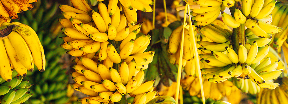ڕاگەیەنراوی دوو وەزارەتی کوردستان لەسەر مۆز