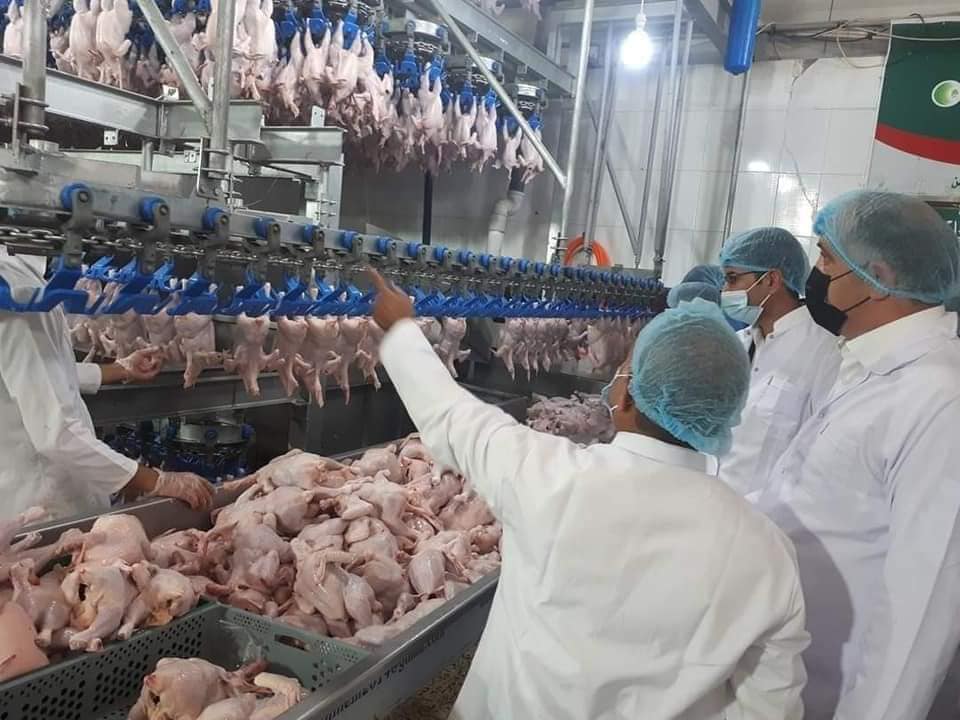 ساڵانە 93 هەزار تۆن گۆشتی مریشک هەناردە دەکرێت