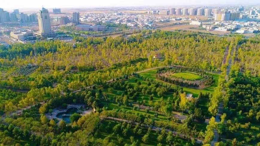 دوو پڕۆژە، هێزی 31 ملیۆن دار