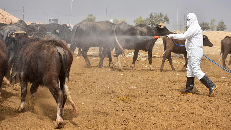 کوردستان بودجەی تایبەت بۆ رووبەڕووبوونەوەی تای خوێنبەربوون تەرخان دەکات