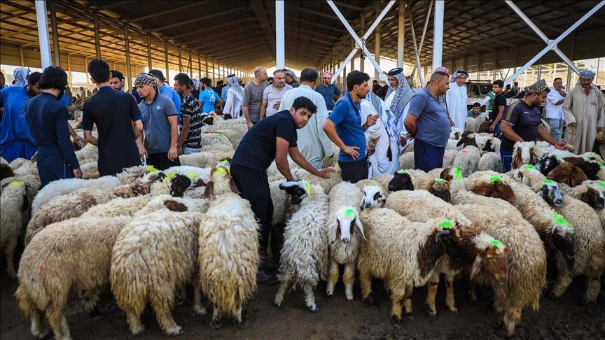چەند ڕێنماییەک بۆ خۆپارێزی لە ڤایرۆسی تای خوێنبەربوون