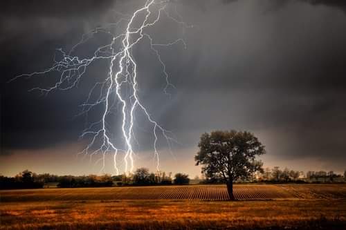 هەورە برووسەکە لە 30 سەر مەڕی و شوانێکی دا