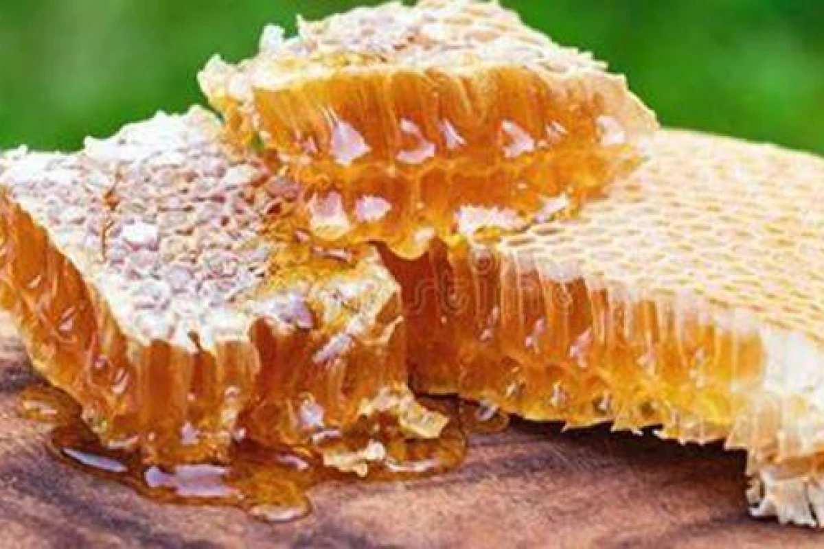 هەنگوین کوردستان ژمارەی پێوانەیی تۆمار کرد