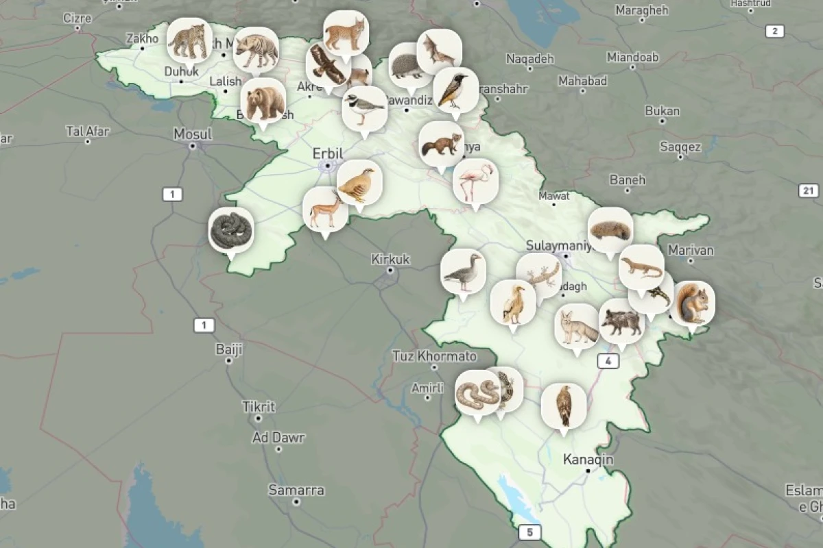پڕۆژەی فرەچەشنیی زیندەیی لە کوردستان بۆ پاراستنی ژینگە و ئاژەڵان