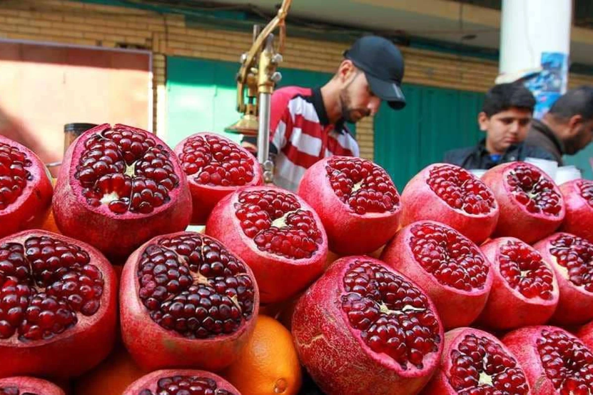 وەزارەتی کشتوکاڵ: بەرهەمی هەناری ئەمساڵ لە ساڵی رابردوو زیاتر دەبێت